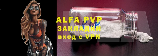 крисы Алзамай