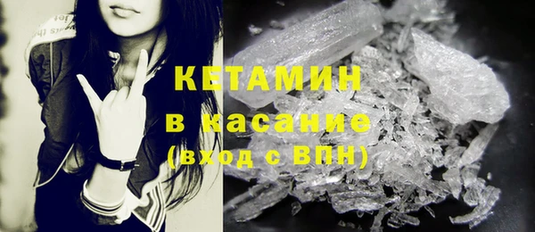 крисы Алзамай