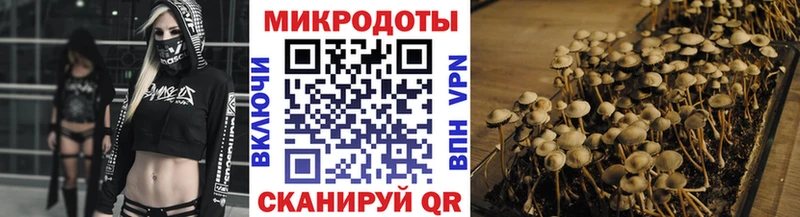 Псилоцибиновые грибы Psilocybe  Североуральск 